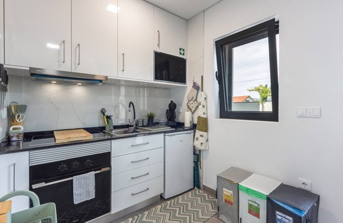 Vale de Cambra Apartment | Studio 'Olive Studio 4 - Arões'
