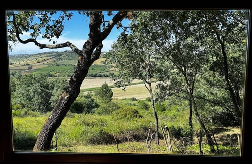 Santarem House | The Bungalow - Quinta da BellaVista