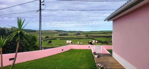 Praia da Vitoria Apartment | The Music House, Ilha Terceira, Açores