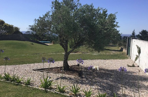 Bombarral House | The Olive Mill. Charming refurbished Windmill with lovely views.