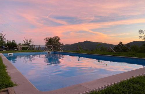 Portela House | The Pool House