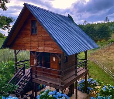 Albergaria-a-Velha House | Vale da Silva Villas - Quinta