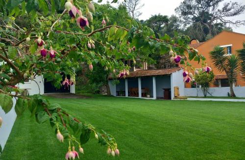 Sintra House | Villa in Sintra - Casa da Penha Ferrim