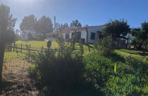 Carvalhal House | Villa Monte dos Pinheiros