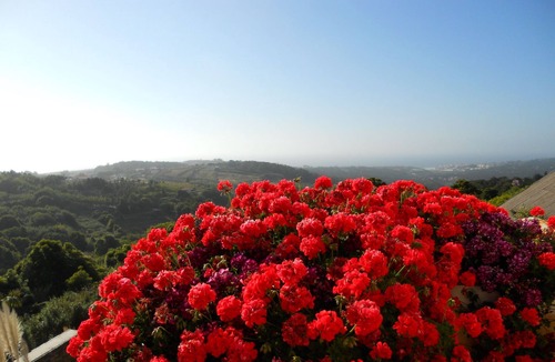 Penedo Villa | Villa With Private Garden & Swimming Pool with Stunning Valley & Sea Views