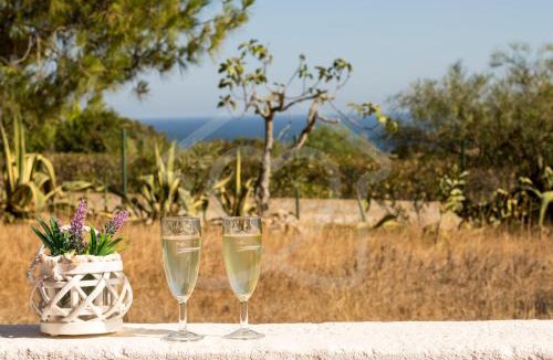 Caramujeira House | Villas2go2 Praia da Marinha