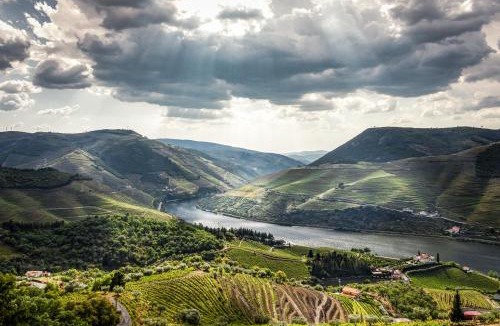 Armamar Villa | Vineyard and Views Exquisite Luxury Douro Villa with Sun-Drenched Infinity Pool