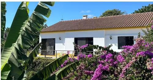 Ponta Delgada Villa | VIVA Quinta I Quinta do Ananás Pineapple Farmhouse