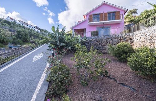 Santa Cruz House | Vivenda da Natureza