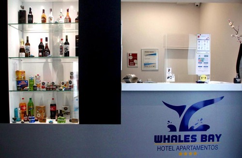 Ponta Delgada Apartment | Whalesbay Hotel Apartamentos