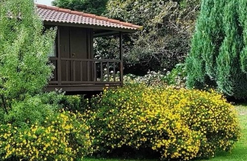 Santa Cruz Cabin | Wooden refuge in the heart of nature