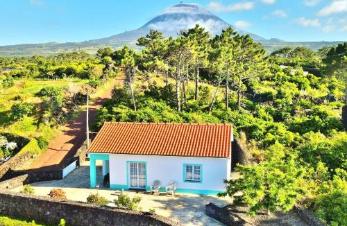 Sao Roque do Pico Resort | Yes Pico