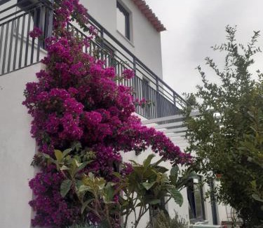 Odeceixe House | ZENergy - GUEST HOUSE