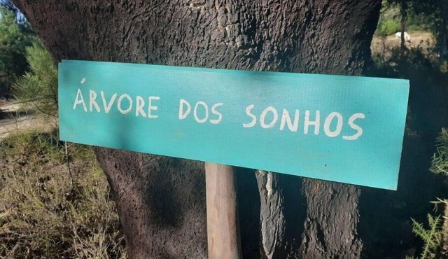 Árvore dos Sonhos - Tree House in Évora