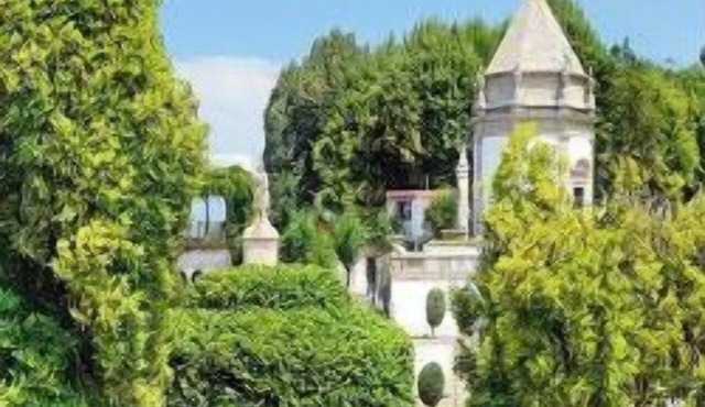1-Bedroom Family Apartment in Braga