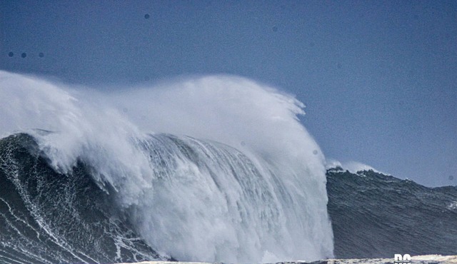 2p Studio Nazaré WSL 2026-2027 in Leiria