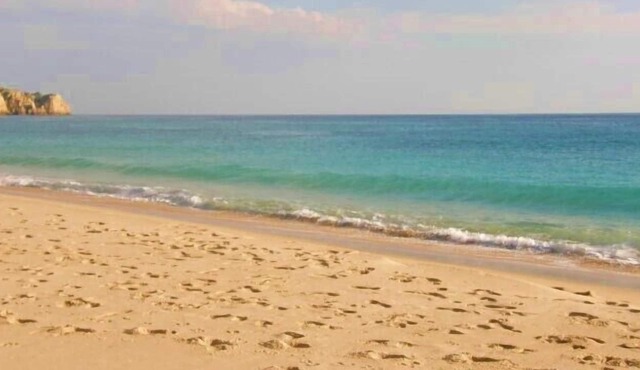 A Large 2 Bedroom 2 Bathroom Apartment Moments From The Beach