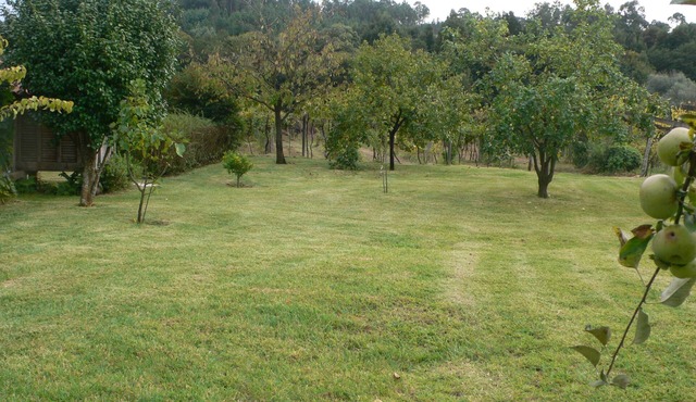 A small farm by the river in Estorãos-Ponte de Lima