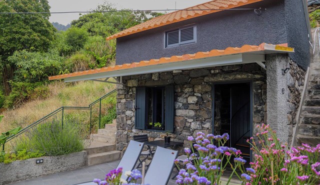 A traditional Madeiran house, nestled in nature. Pets are welcome! in Machico