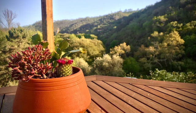Ahua Portugal: Relax in Comfort - Underfloorheating in Odeceixe