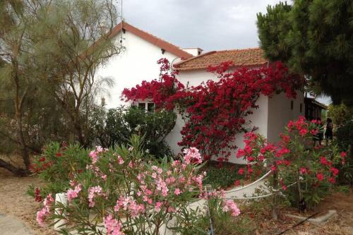 Beach House - Tavira Island in Tavira