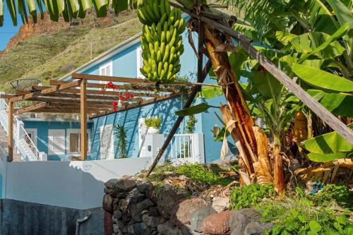 Blue by the Sea House by CAELIS INPIRE in Calheta