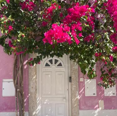 Casa Cor de Rosa