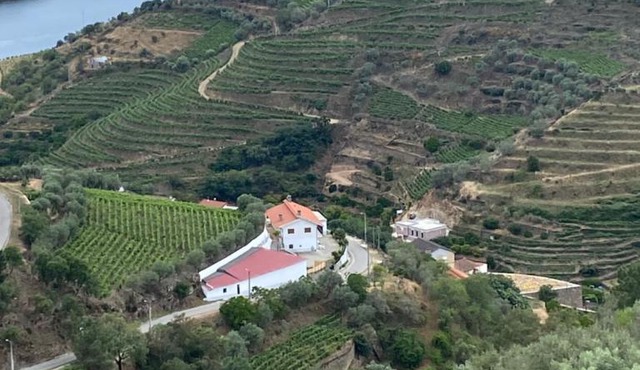 Casa da Amendoeira Covelinhas