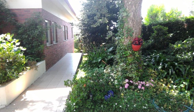 Casa de Trajinha B&B in Afife