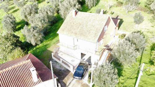 Casa dos Fetos Varanda Panorâmica & Natureza