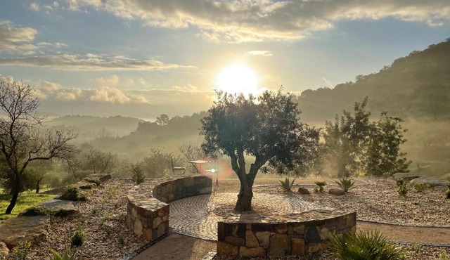 Casa Olivia - Charming renovated farmhouse with panoramic views in Fonte do Bispo