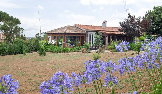 d'Olívia Lovely Homes — Rural Tranquility in Portugal's Western Heartland