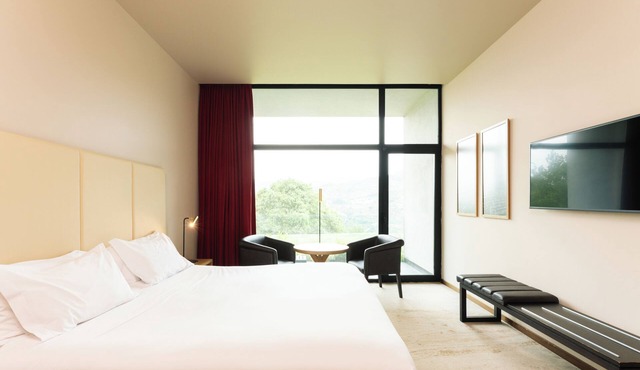 Douro Palace Hotel Resort and Spa
