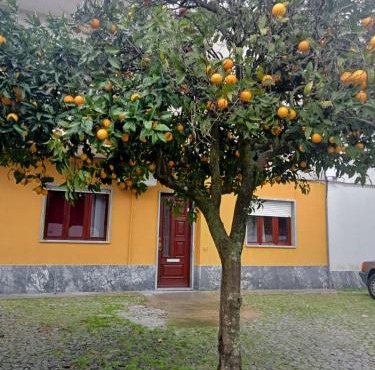 Evora Domus in Evora