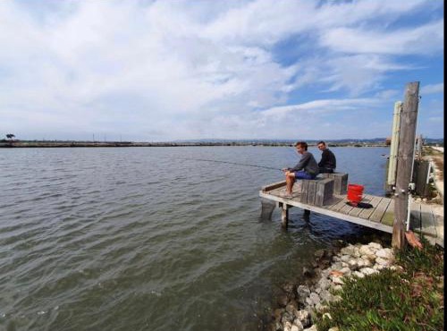 Fishing resort eco nativo park