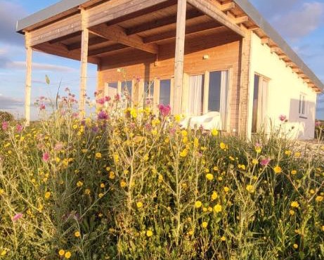 Gemütliches Holzhaus 2 auf der Quinta Oak Tree Land mit Weitblick & Pool