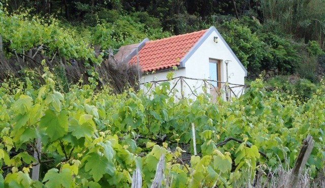Haystack - Family Garcês in São Vicente