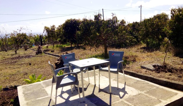 Homerez - Beautiful house 2 km away from the beach for 2 ppl. at Arco da Calheta