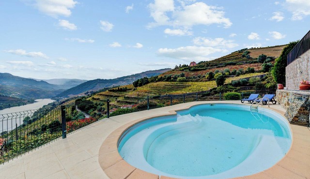 Homerez - Villa in Mesão Frio