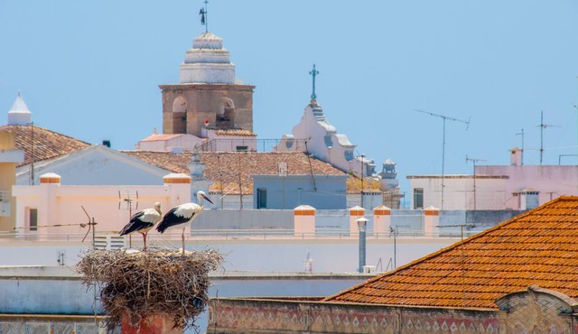 Hotel Cidade de Olhão