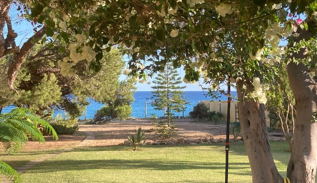 in Vila Baleira mit Garten by Interhome