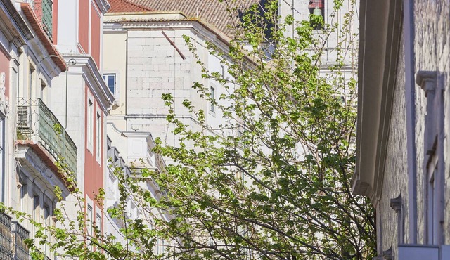 Lisbon Five Stars Apartments Combro 7 in Lisbon