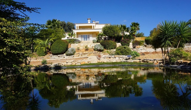 Luxurious villa 9 p. - property 50 acres in the middle of olive trees - magnificent view