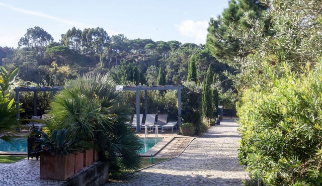 Modern house with pool, located a 5-minute from all fantastic beaches of Meco.