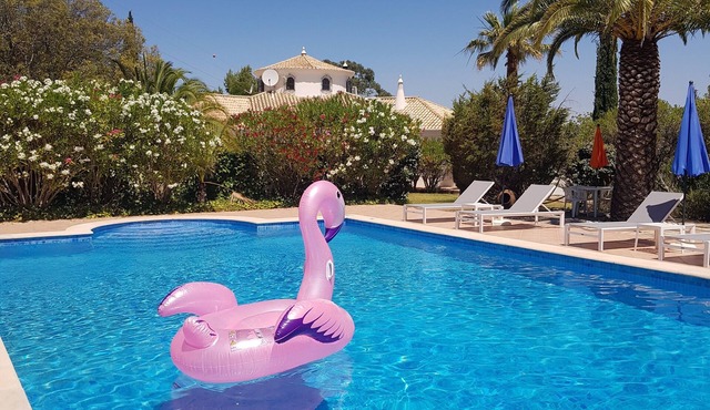 Monte-Bougainvillea Holiday Apartments in central Algarve -LIRIOS- in Cerro Manuel Viegas