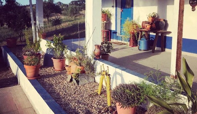 Monte Courela: piscina, natureza e paz no Alentejo in Malarranha