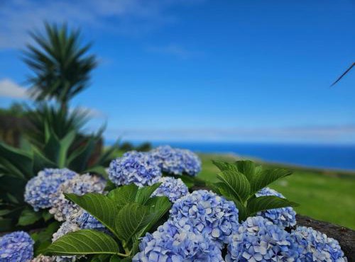 Ocean View - Nordeste
