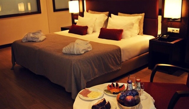 Palace Hotel & Spa Termas de S. Miguel in Fornos de Algodres