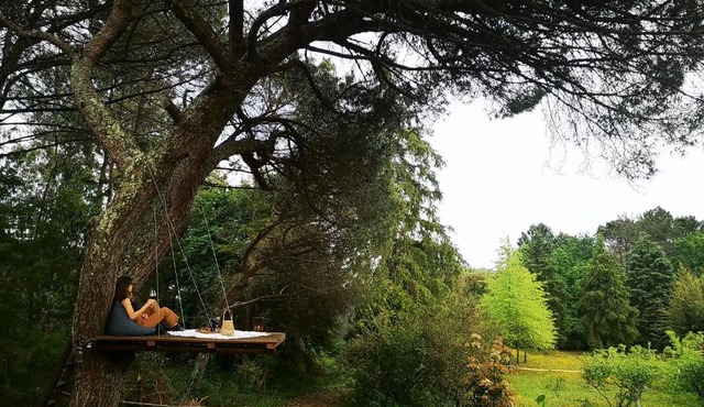 Pine Lodge in Valongo