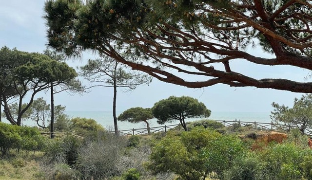 Praia da Falésia Alfa Mar Albufeira